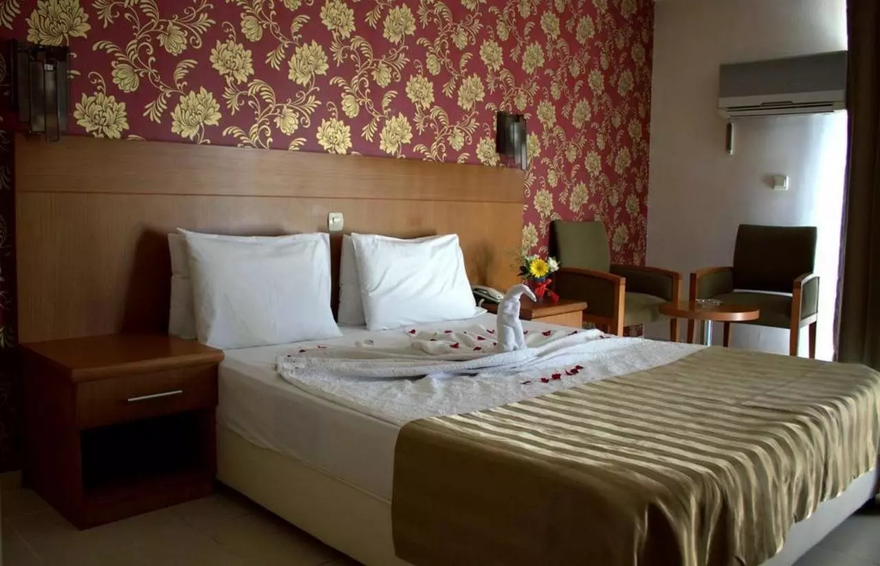 SURTEL_SHABAVIZ (6).jpg